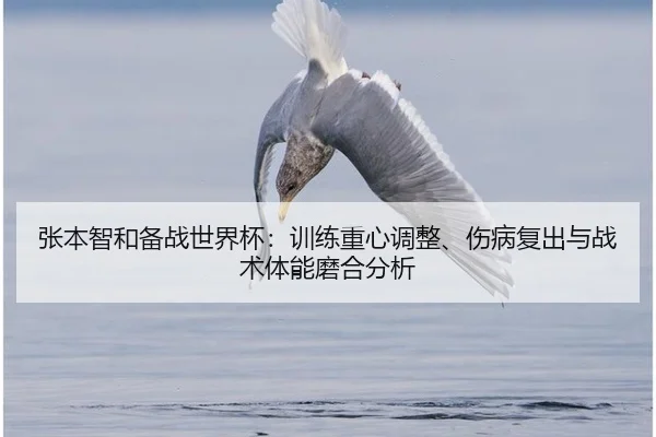 张本智和备战世界杯：训练重心调整、伤病复出与战术体能磨合分析